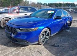 هوندا أكورد